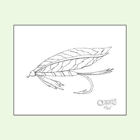 WET FLY - ORVIS® NYC DOWNLOAD