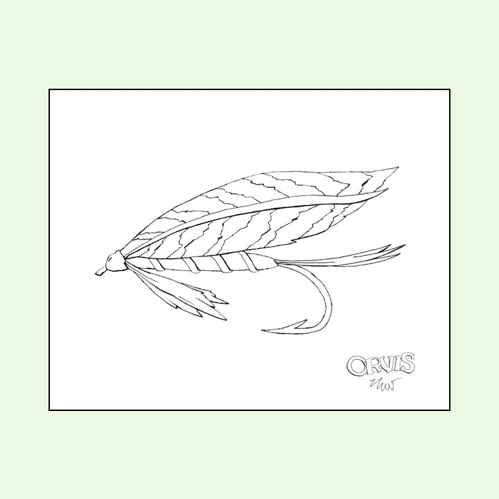 WET FLY - ORVIS® NYC DOWNLOAD